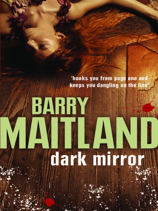 Cover image for Dark Mirror